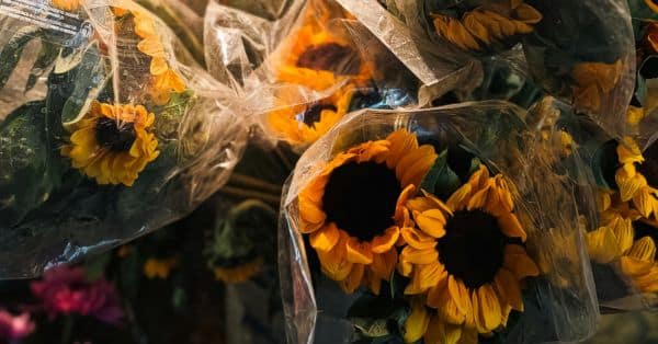 איך להזמין אונליין זר מושלם ליום האהבה – בלי לפספס, ועם כל הטריקים הקטנים שעושים את ההבדל